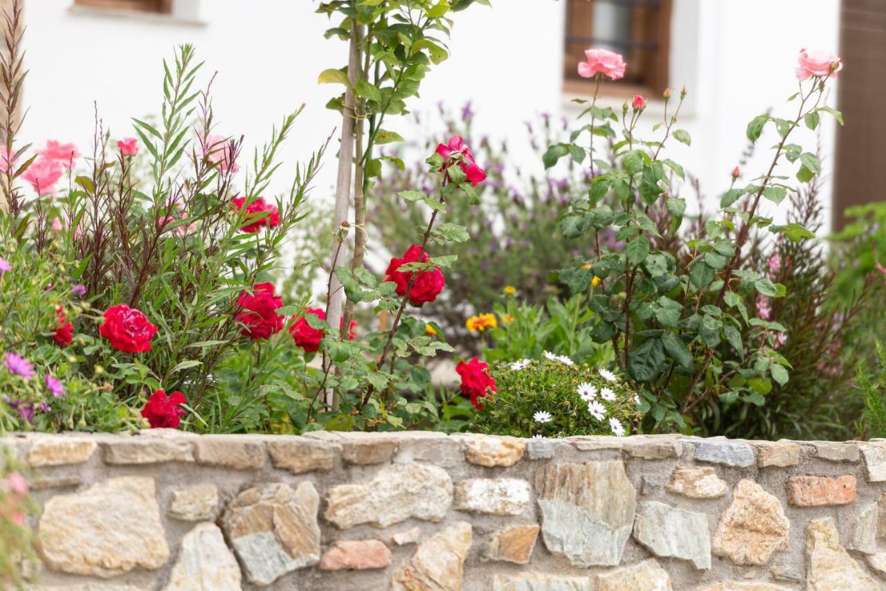 Garden House Psarogiannis Apartment Vourvourou Ngoại thất bức ảnh